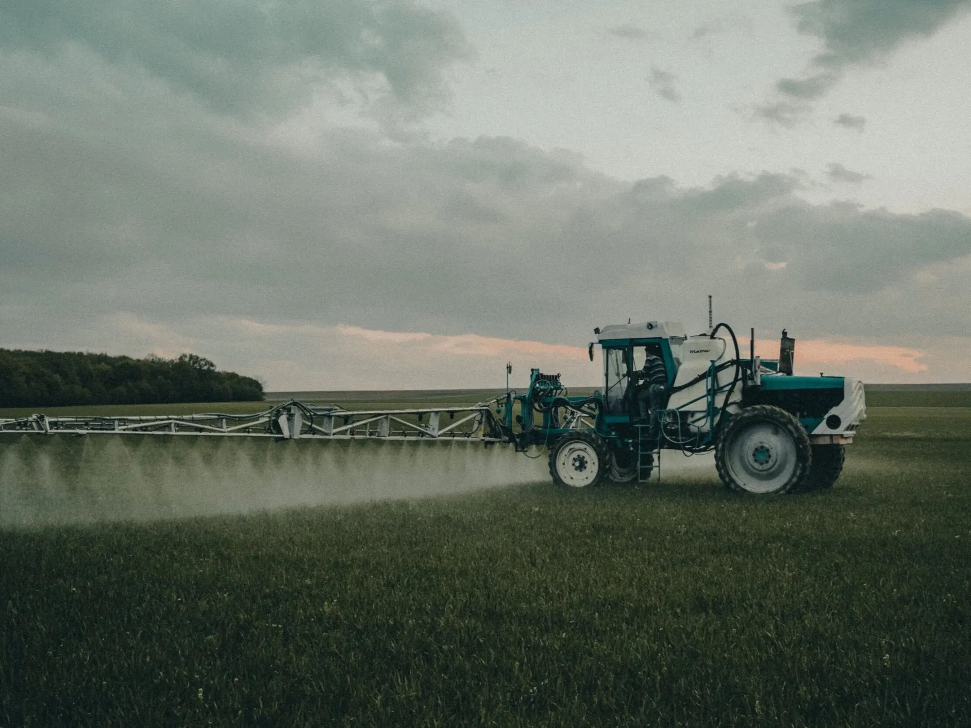 Crop rows on a Fraser Valley farm