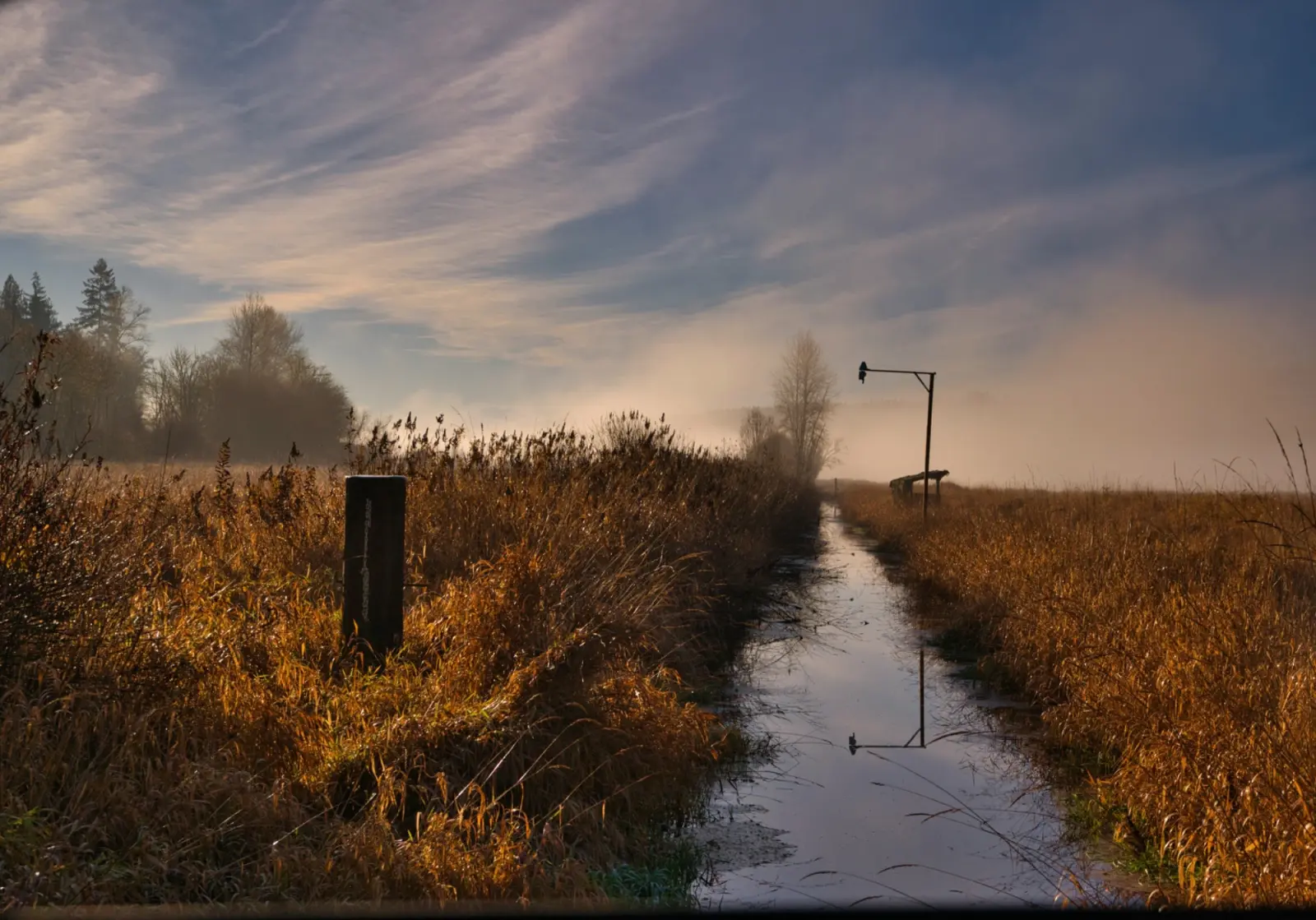 Farm field in British Columbia under an open sky