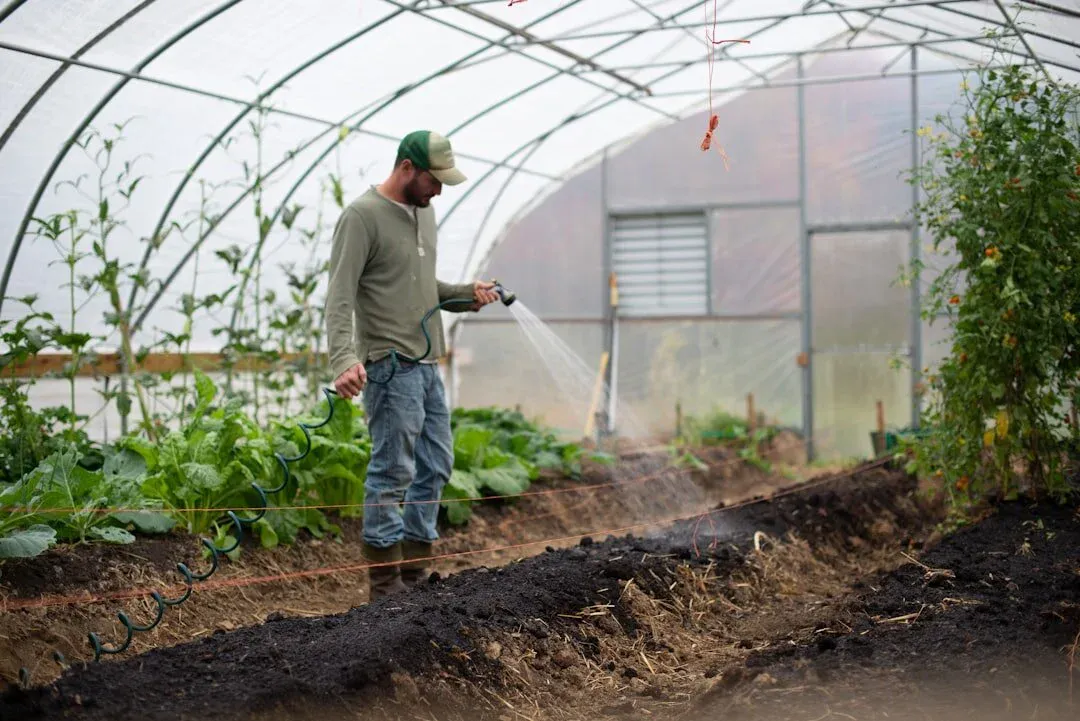 Cover crops growing on a regenerative farm