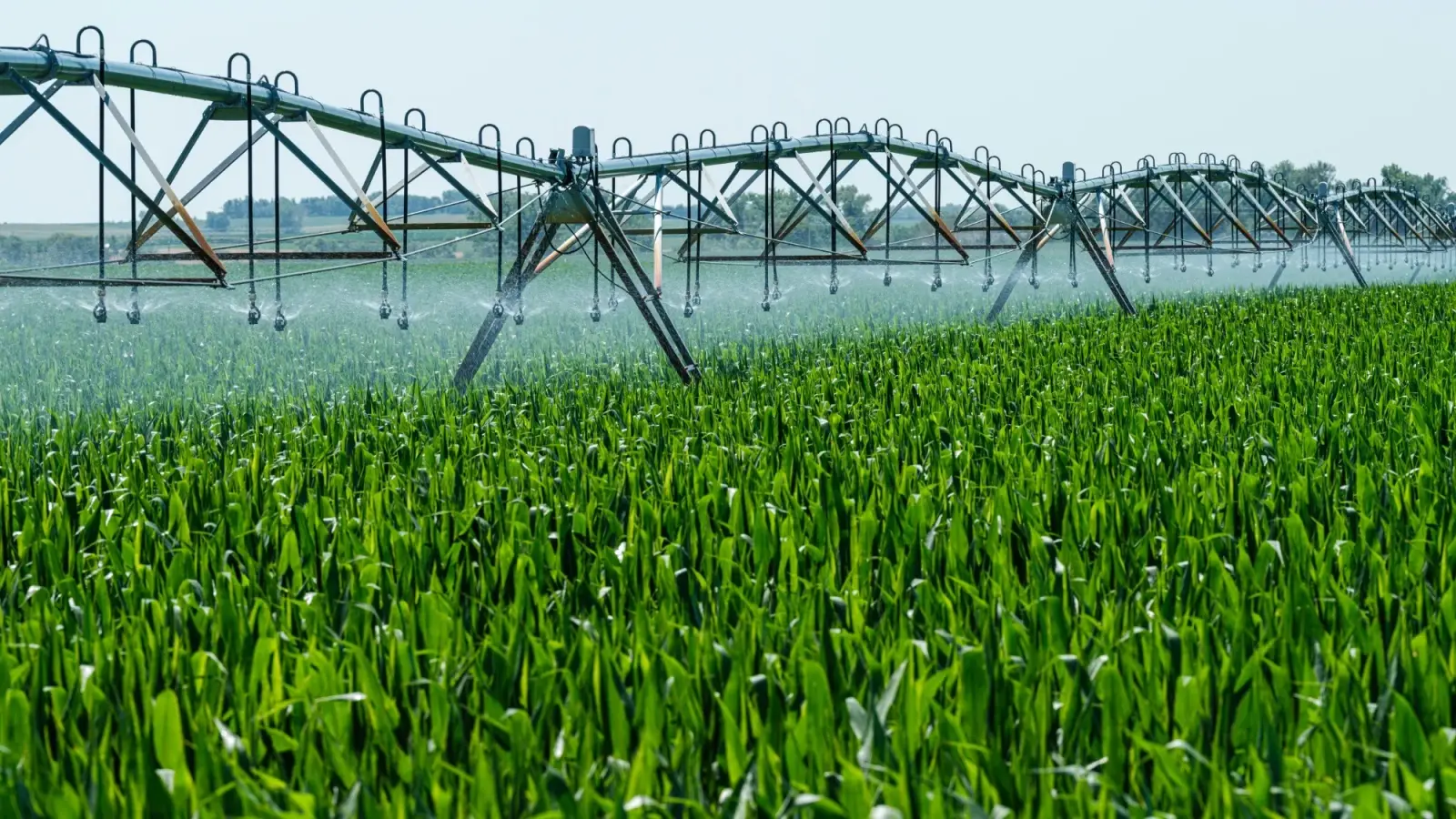Water channel running alongside a farm field